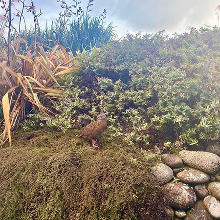 Wild Weka Eco Stay - Off-Grid 4Wd Recommended Waimarie 외부 사진